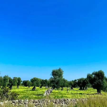 Jangelu Appartamento Ostuni